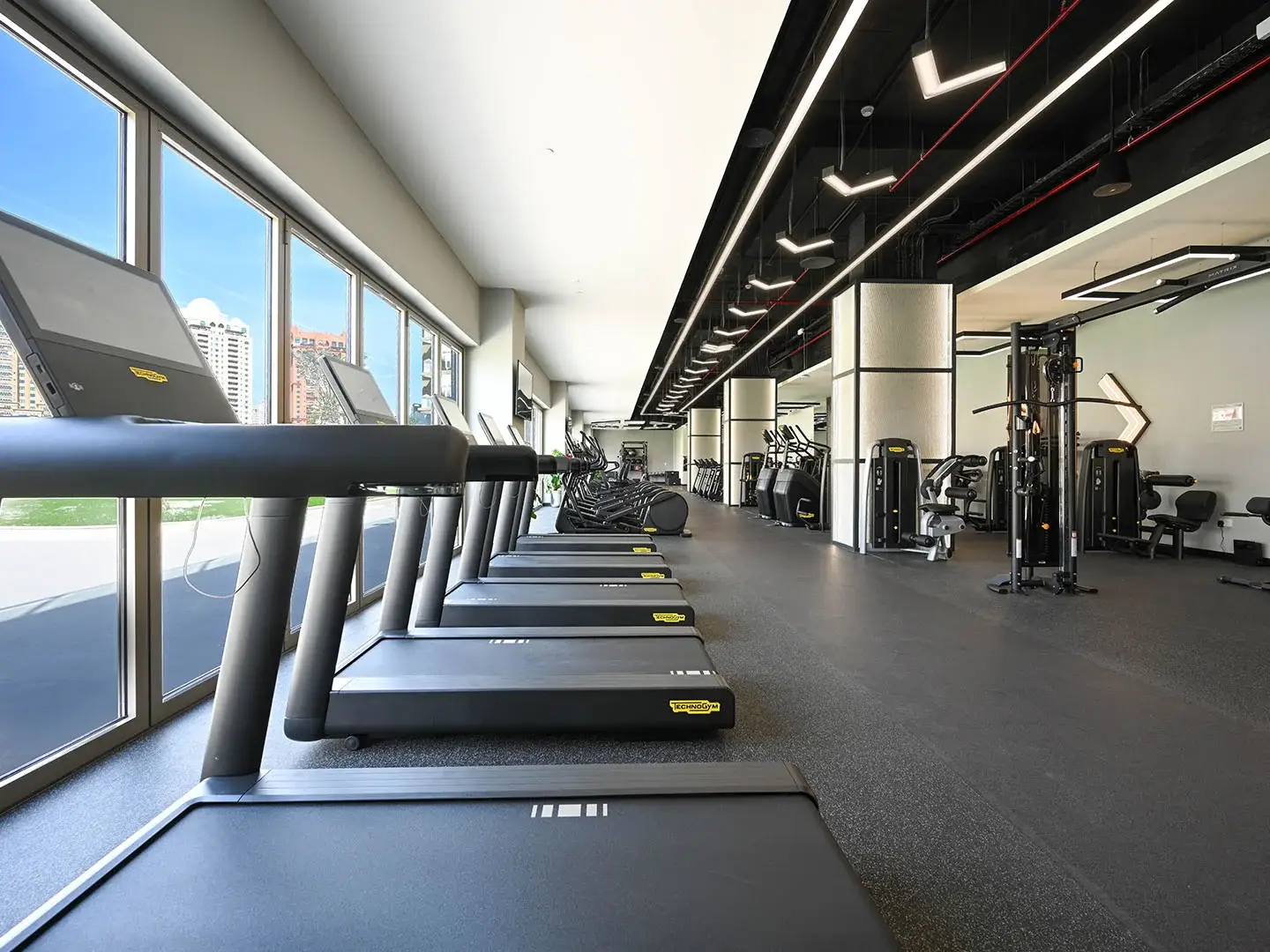 Treadmills line a gym with city views.