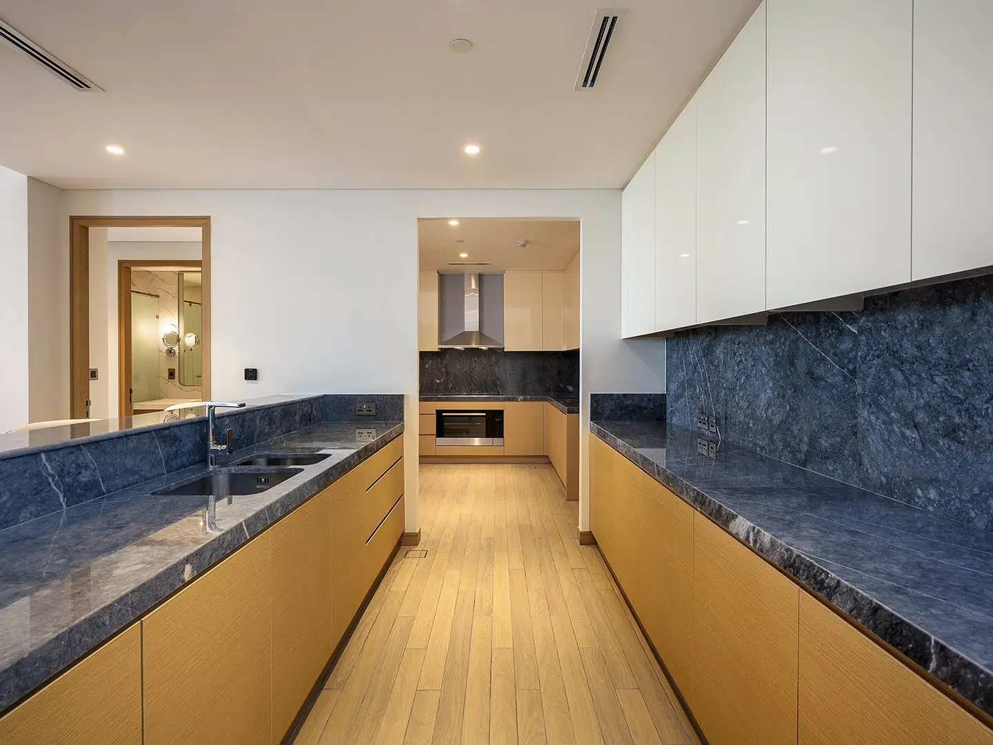 Elegant kitchen with modern luxurious design